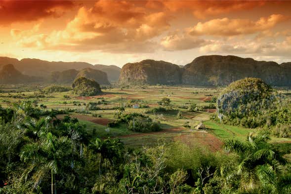 Discover 5 Viñales valley day trip